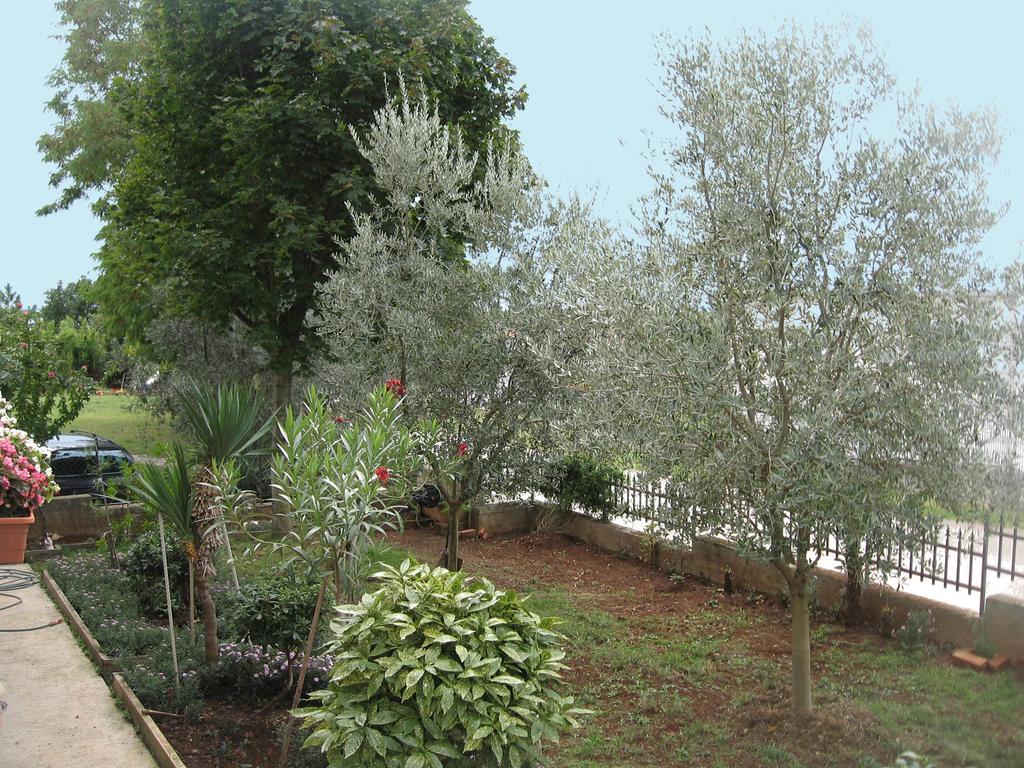 Apartments Adelita Porec Phòng bức ảnh