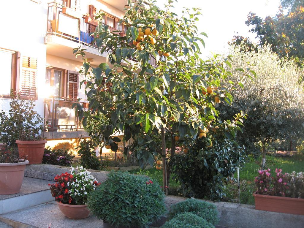 Apartments Adelita Porec Ngoại thất bức ảnh